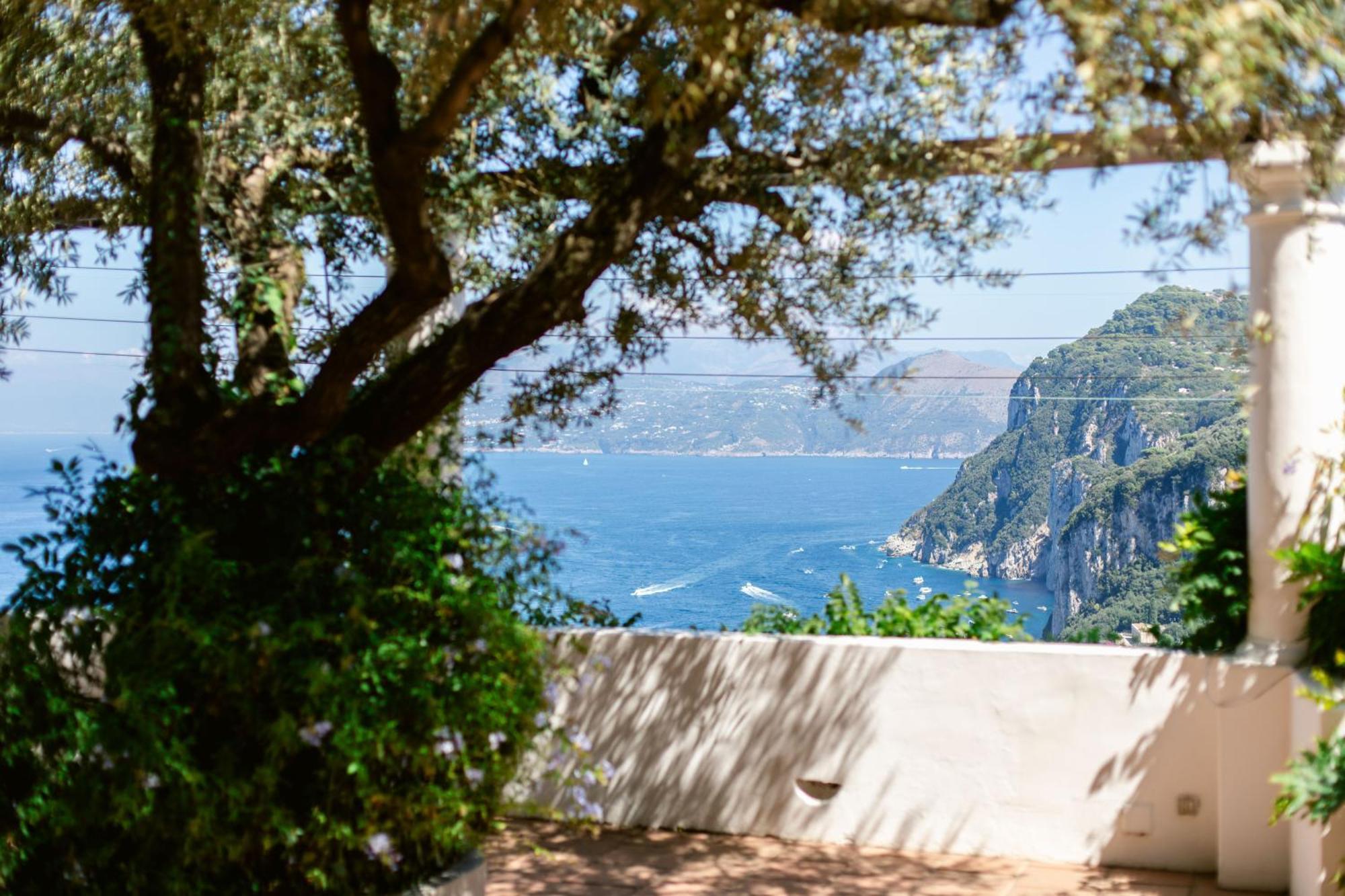 Ginestra By Elite Capri