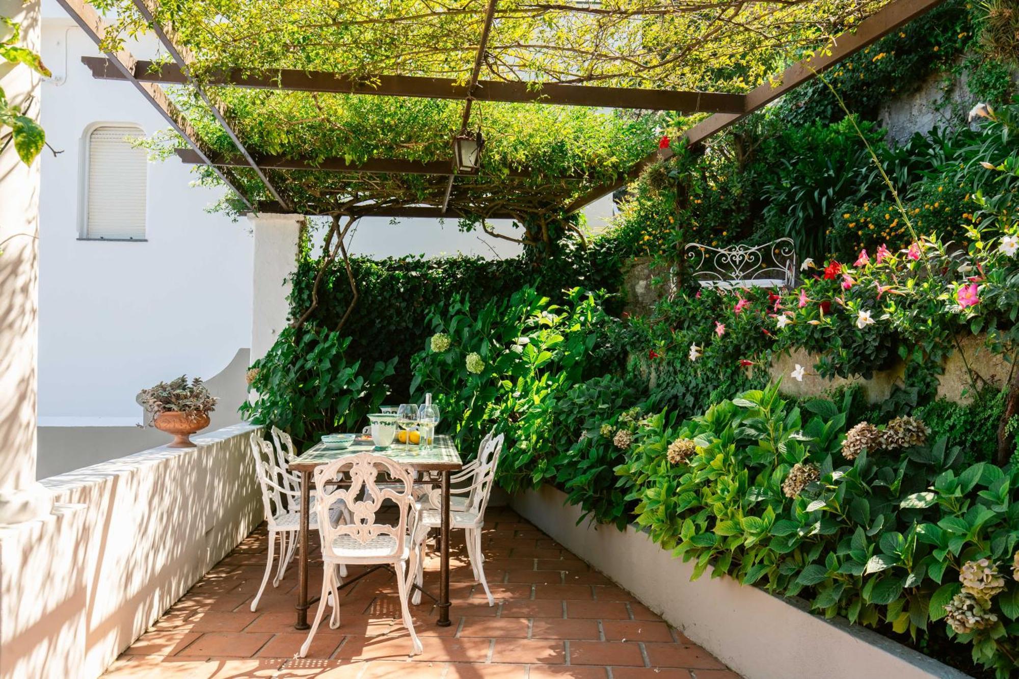 Ginestra By Elite